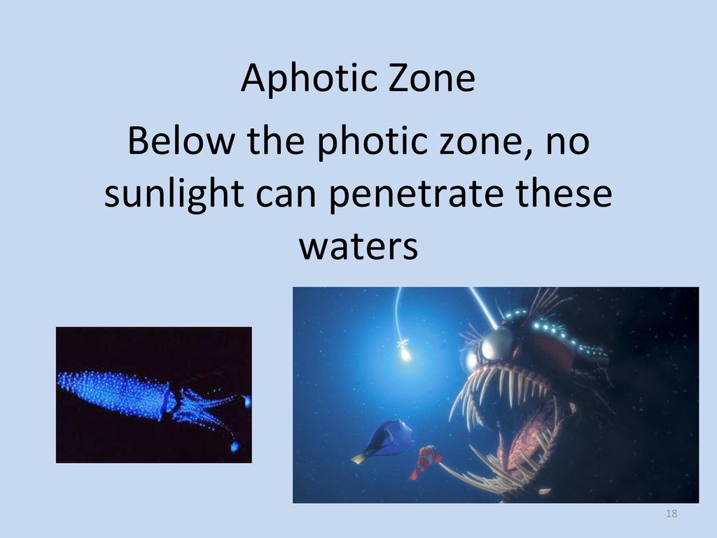 biomes and aquatic ecosystems