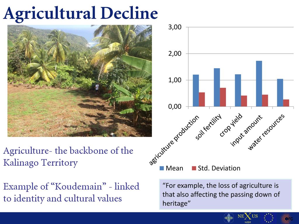 Agricultural Decline Agriculture- the backbone of the Kalinago Territory. Example of Koudemain - linked to identity and cultural values.