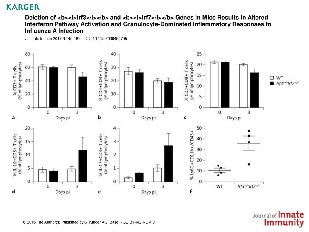 Deletion of <b><i>Irf3</i></b> and <b><i>Irf7</i></b> Genes in Mice Results in Altered Interferon Pathway Activation and Granulocyte-Dominated Inflammatory Responses to Influenza A Infection