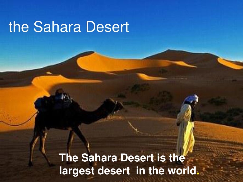 the sahara desert,the Sahara new words of places: morocco kenya the sahara desert tanzania