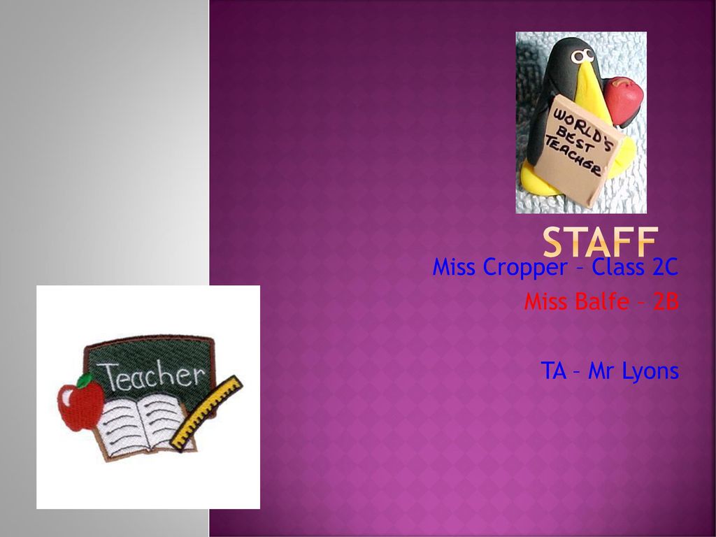 Miss Cropper – Class 2C Miss Balfe – 2B TA – Mr Lyons