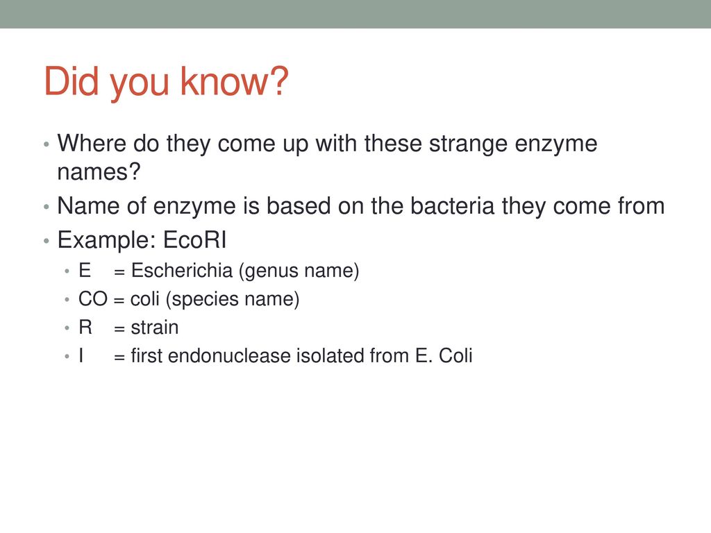 Did you know Where do they come up with these strange enzyme names