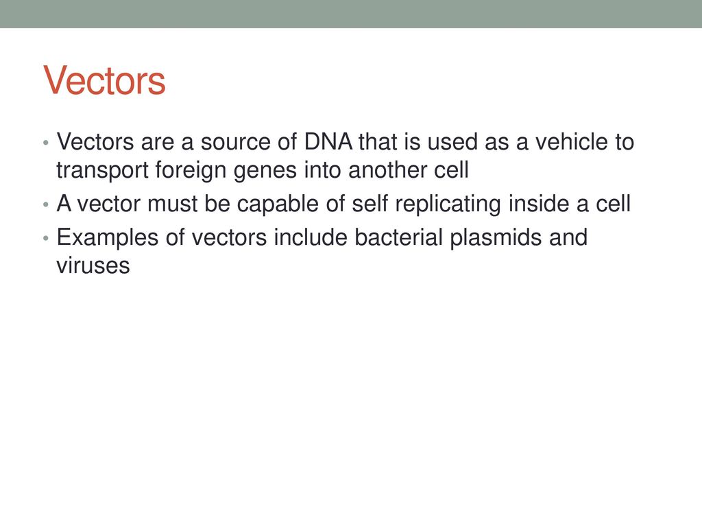 Vectors Vectors are a source of DNA that is used as a vehicle to transport foreign genes into another cell.
