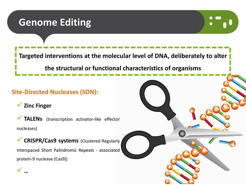 Genome Editing Targeted interventions at the molecular level of DNA, deliberately to alter the structural or functional characteristics of organisms.