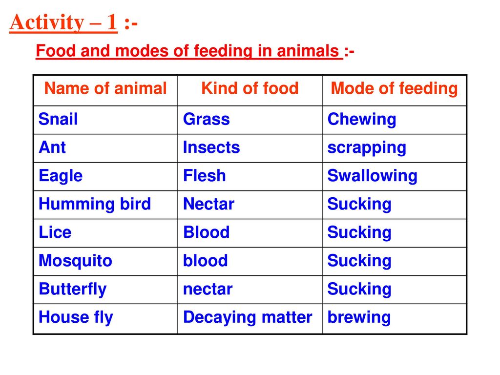 CHAPTER - 2 NUTRITION IN ANIMALS - ppt download