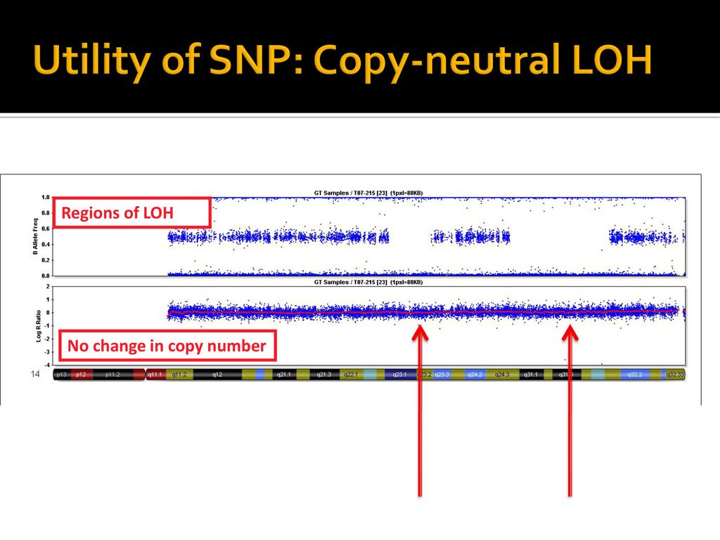 Utility of SNP: Copy-neutral LOH