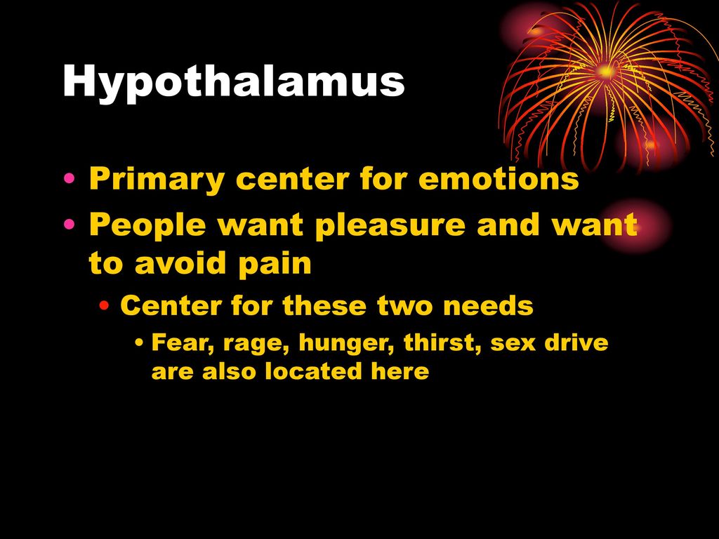 Hypothalamus Primary center for emotions