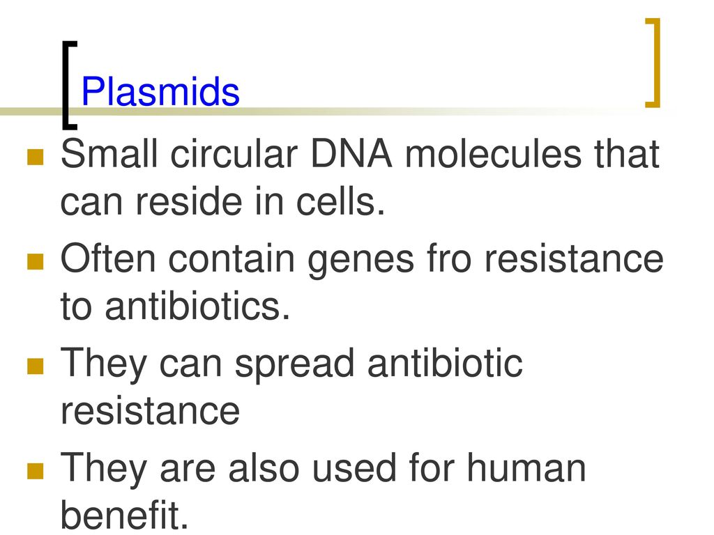 Plasmids Small circular DNA molecules that can reside in cells. Often contain genes fro resistance to antibiotics.