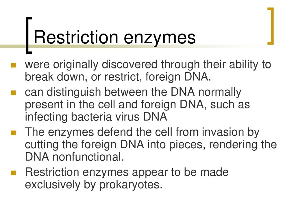 Restriction enzymes were originally discovered through their ability to break down, or restrict, foreign DNA.