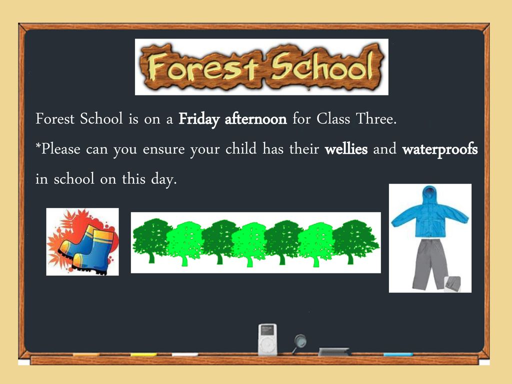 Forest School is on a Friday afternoon for Class Three.