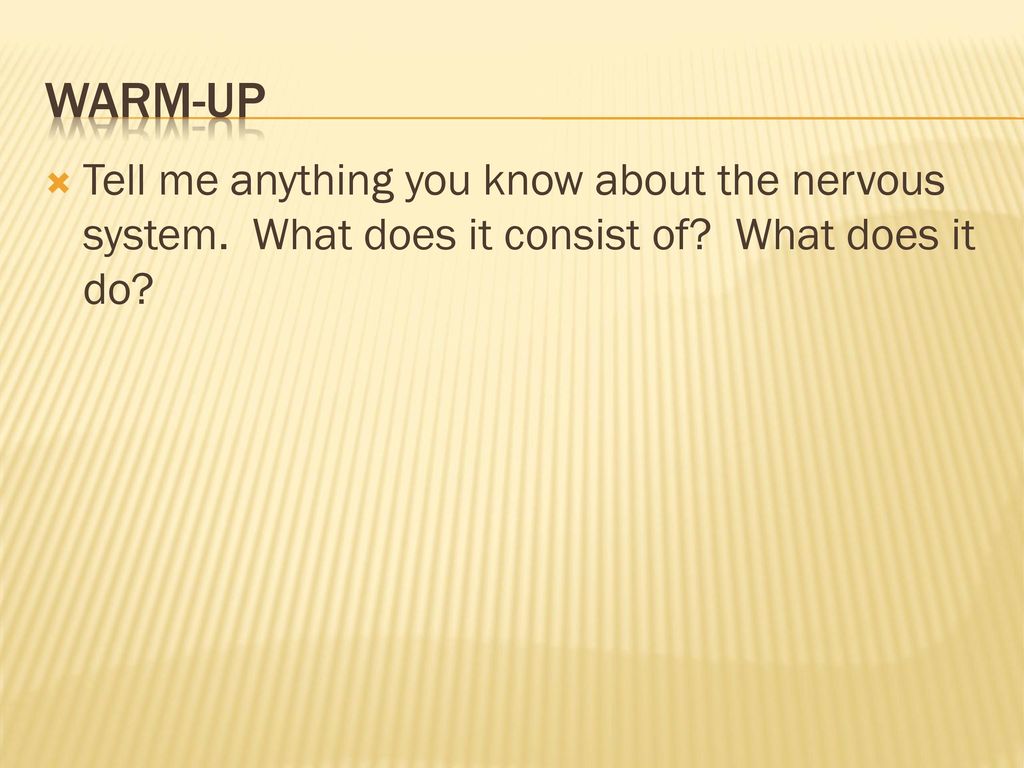 Warm-up Tell me anything you know about the nervous system.