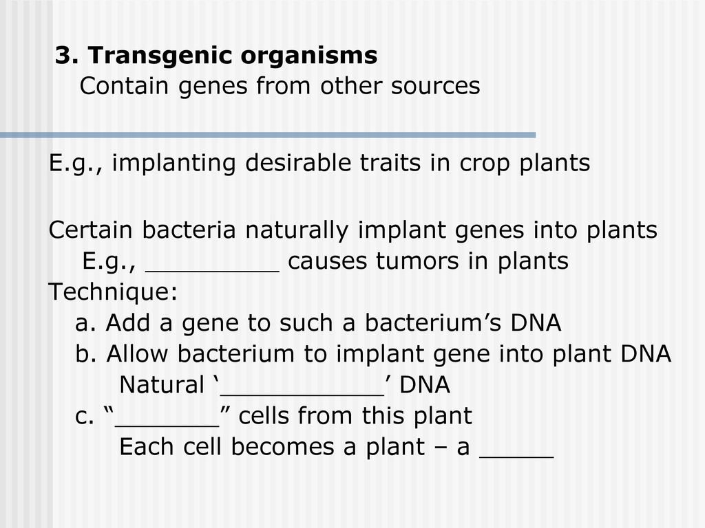 3. Transgenic organisms Contain genes from other sources. E.g., implanting desirable traits in crop plants.