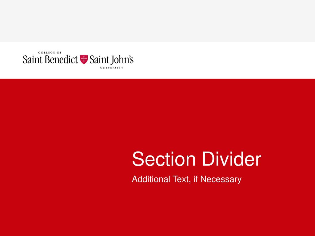 Section Divider Additional Text, if Necessary