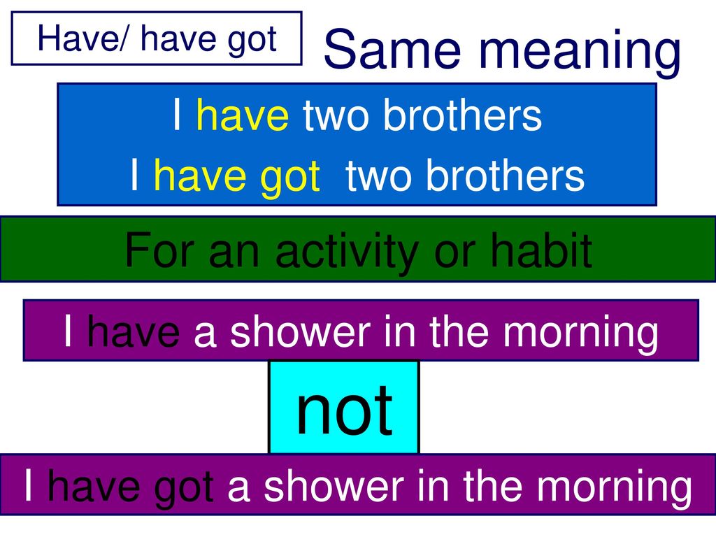 not Same meaning For an activity or habit I have two brothers