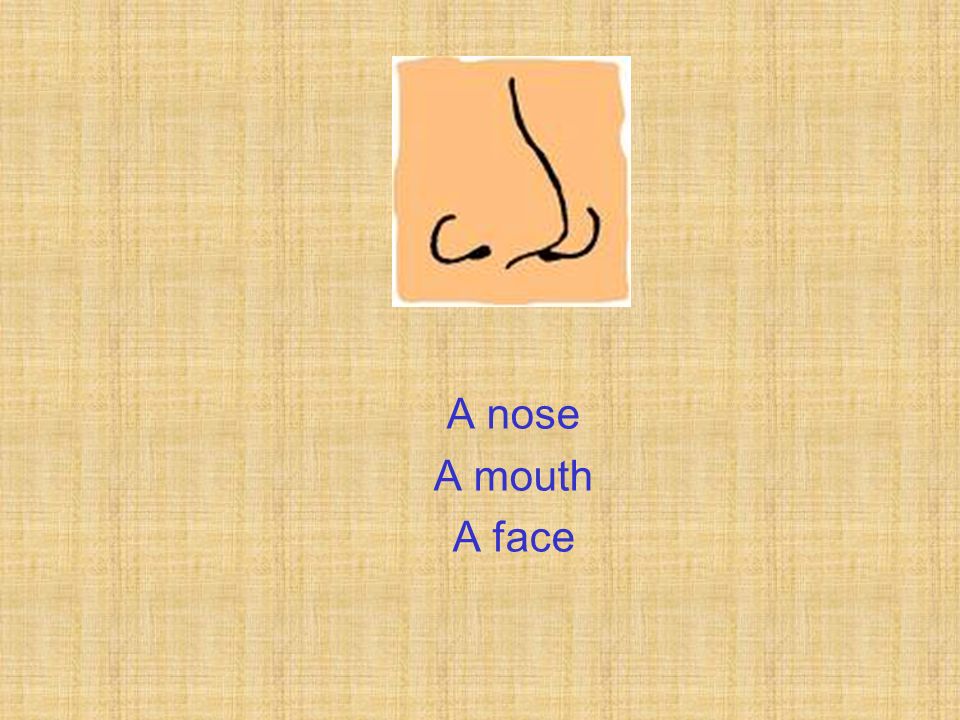 A nose A mouth A face
