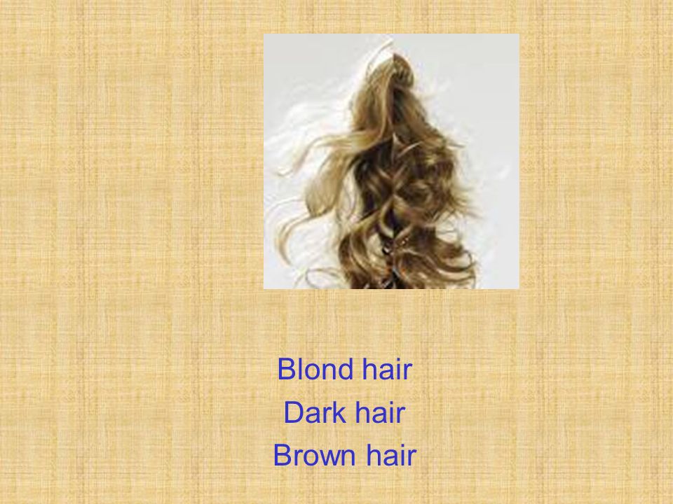 Blond hair Dark hair Brown hair