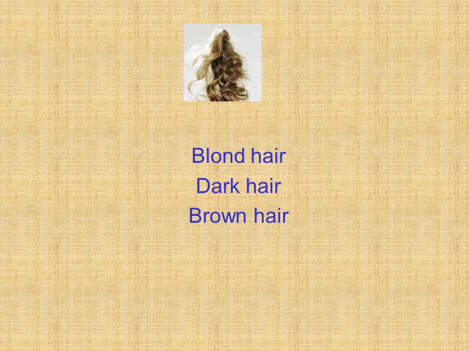 Blond hair Dark hair Brown hair