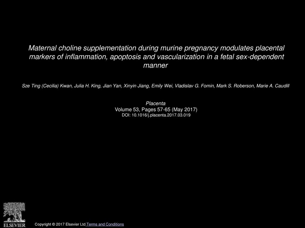 Maternal choline supplementation during murine pregnancy modulates placental markers of inflammation, apoptosis and vascularization in a fetal sex-dependent manner