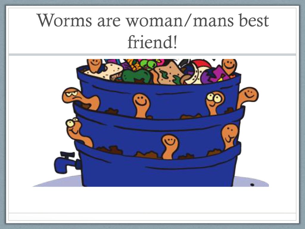 Worms are woman/mans best friend!