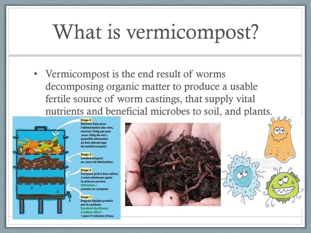 What is vermicompost