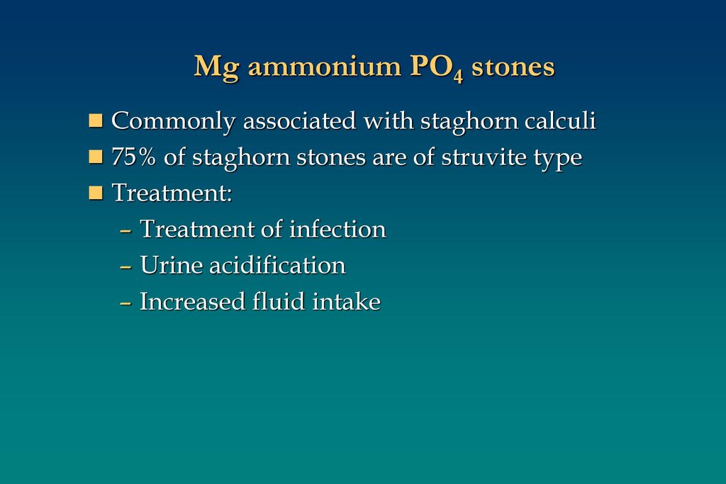 Mg ammonium PO4 stones Commonly associated with staghorn calculi
