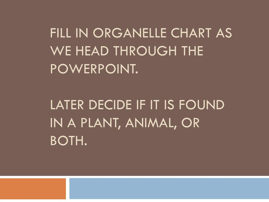 Fill in Organelle Chart as we head through the powerpoint