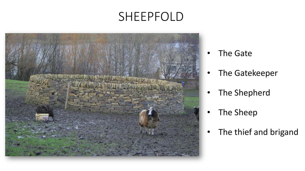 The Gate The Gatekeeper The Shepherd The Sheep The thief and brigand