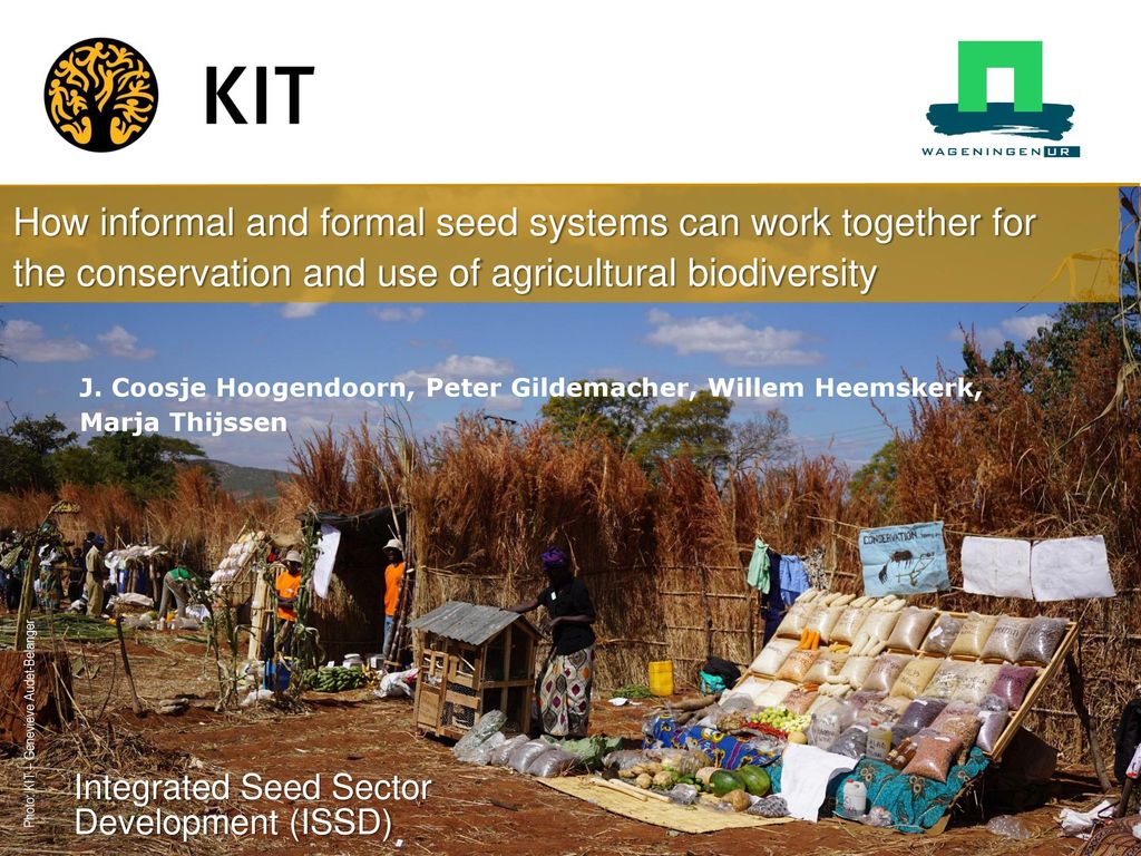 Integrated Seed Sector Development (ISSD)