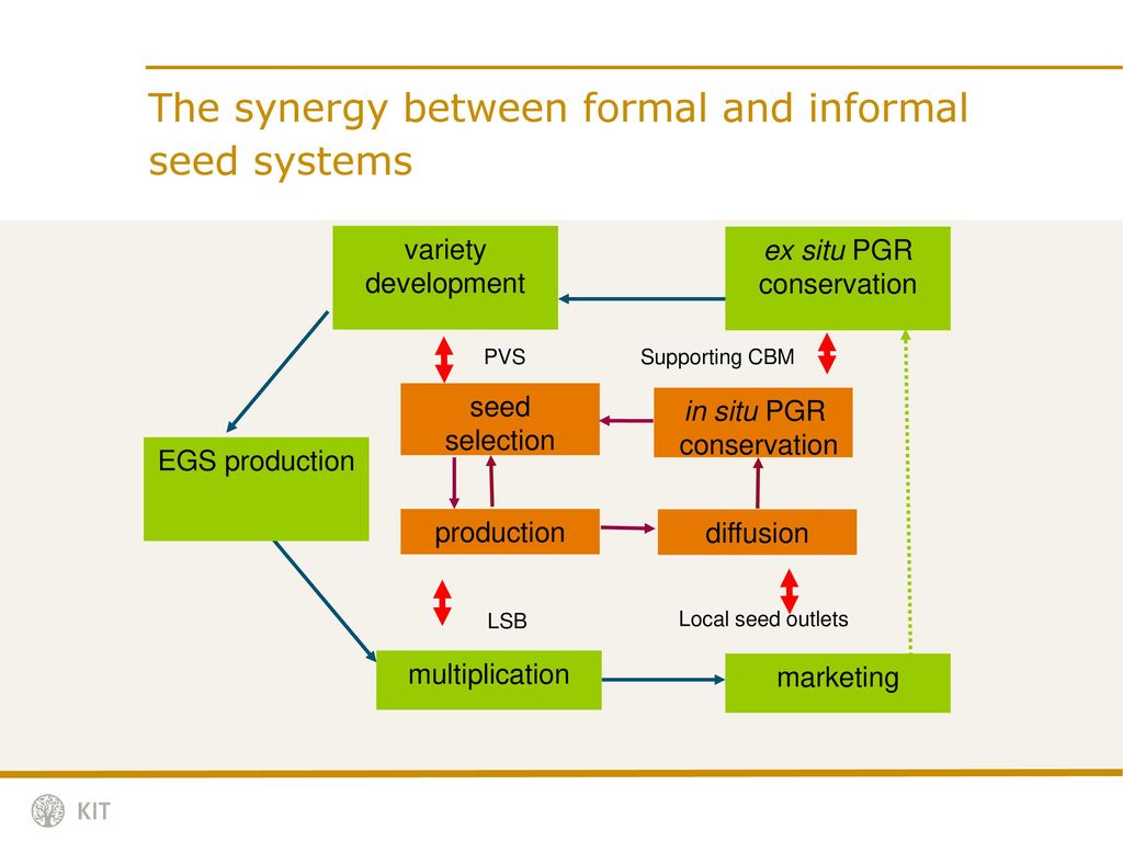 The synergy between formal and informal seed systems