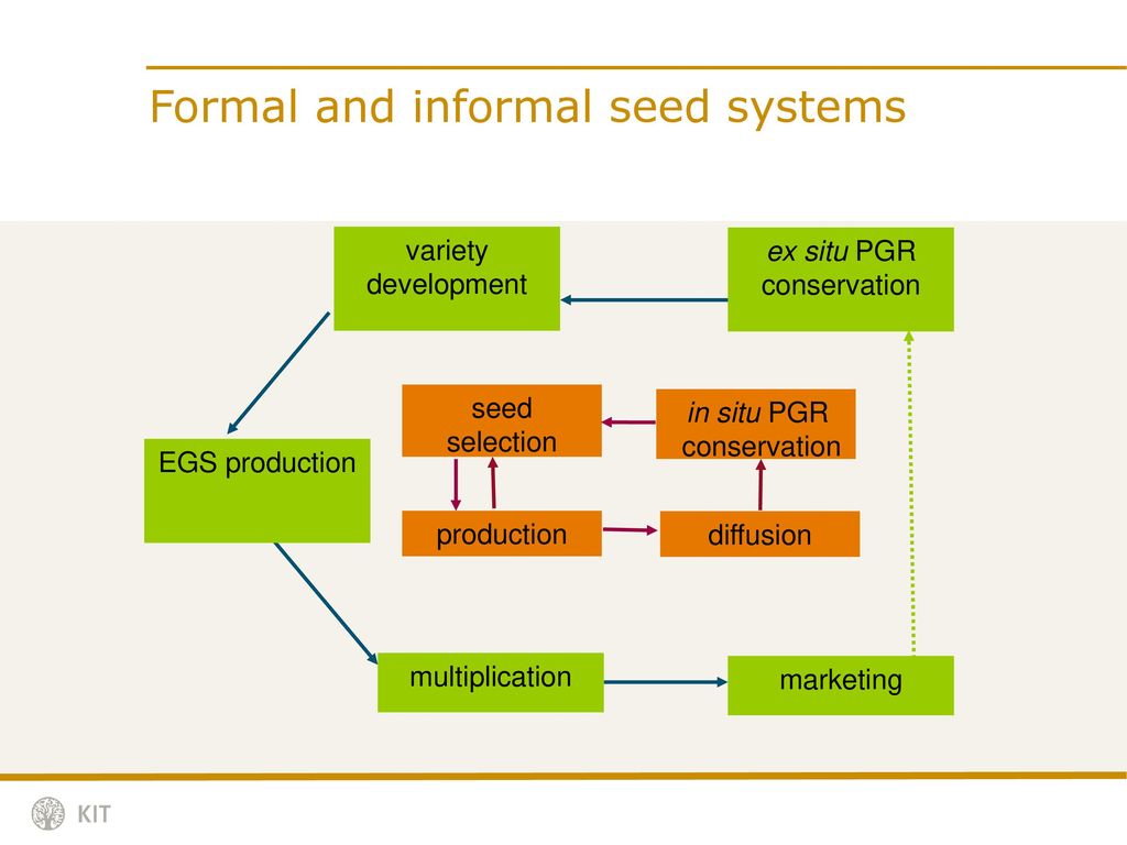 Formal and informal seed systems