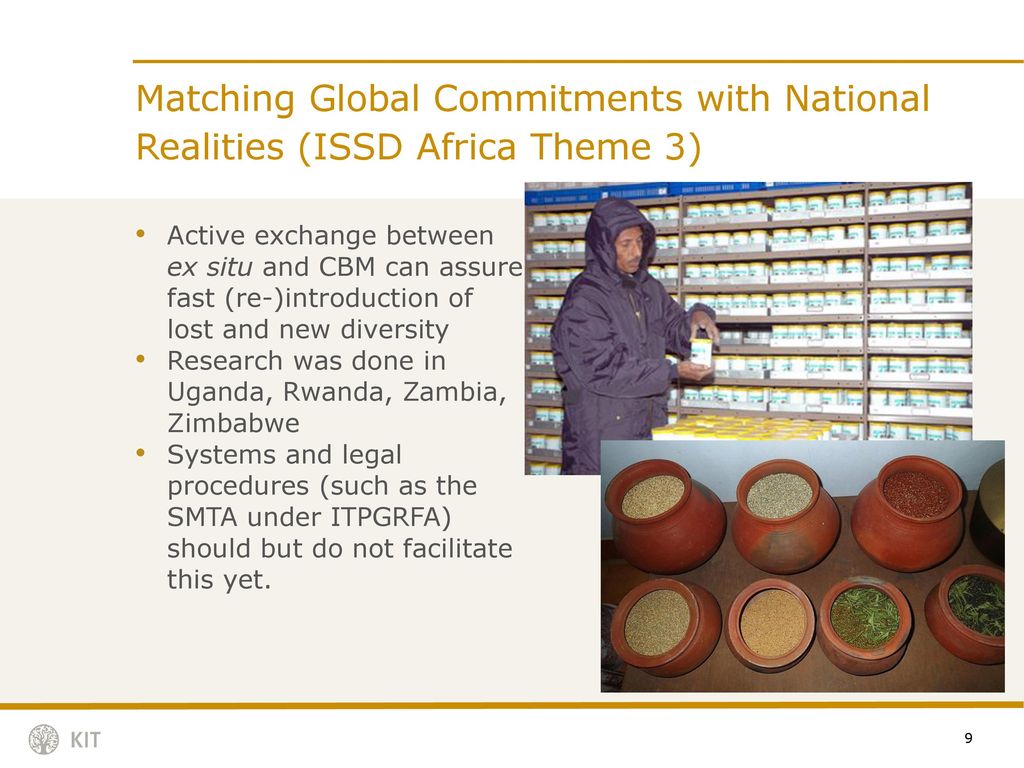 Matching Global Commitments with National Realities (ISSD Africa Theme 3)
