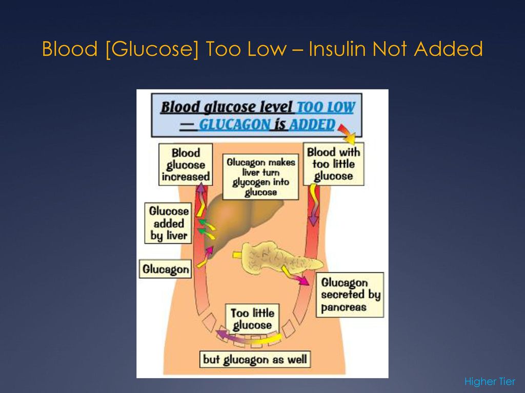Blood [Glucose] Too Low – Insulin Not Added