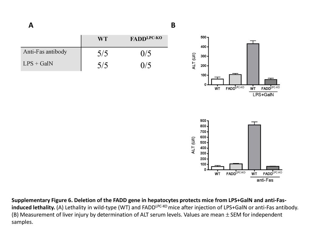 A B 5/5 0/5 WT FADDLPC-KO Anti-Fas antibody LPS + GalN