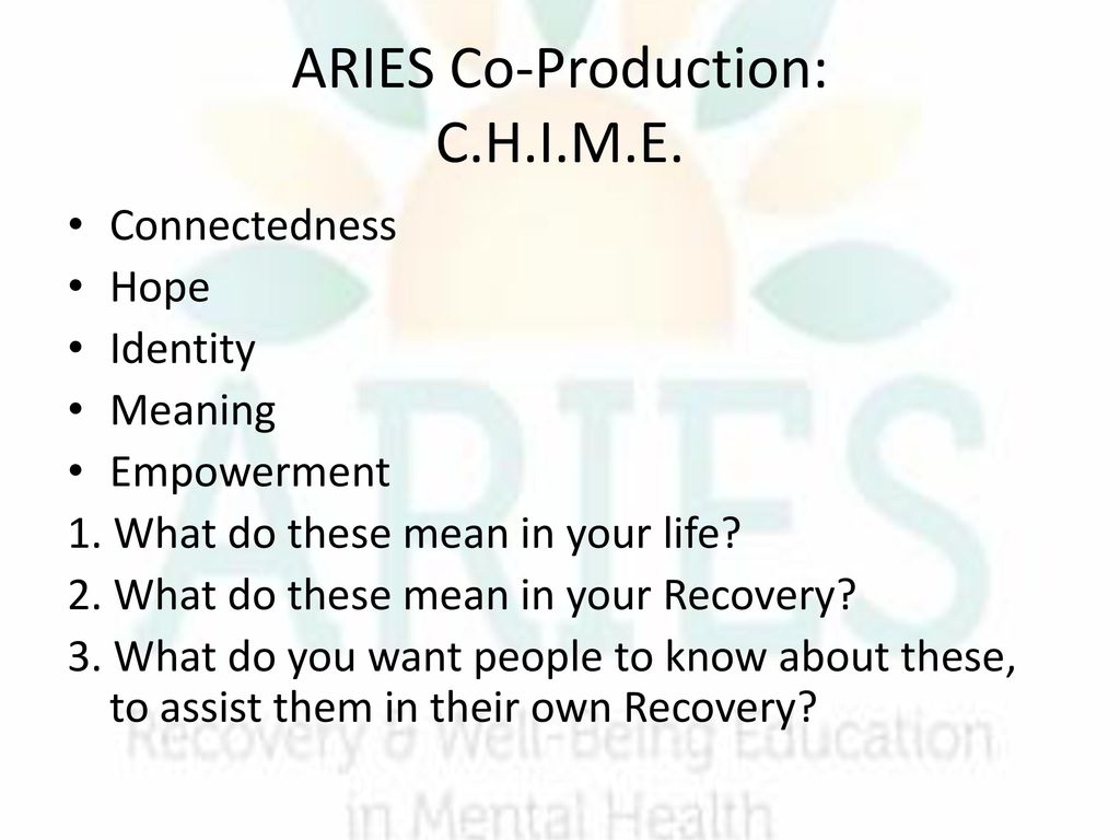 ARIES Co-Production: C.H.I.M.E.