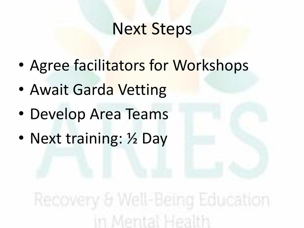 Next Steps Agree facilitators for Workshops Await Garda Vetting