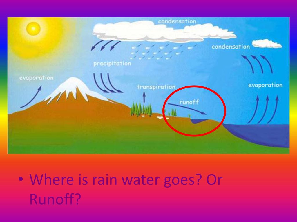 Where is rain water goes Or Runoff