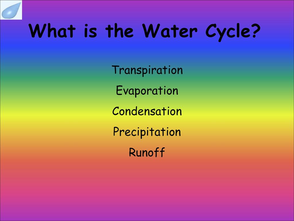What is the Water Cycle Transpiration Evaporation Condensation