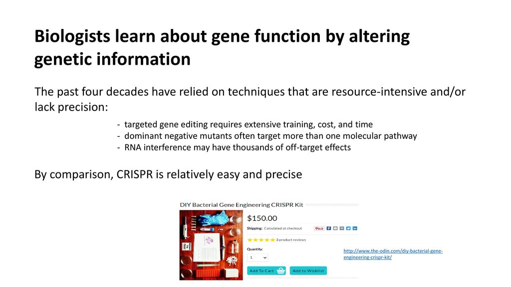 Biologists learn about gene function by altering genetic information