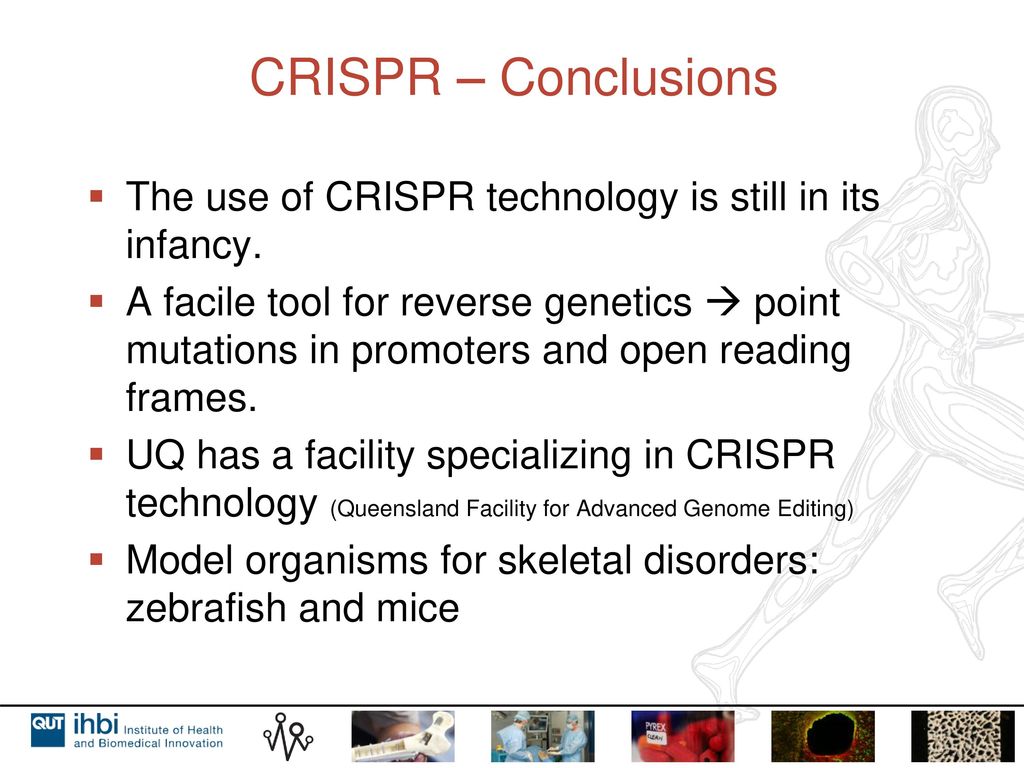 CRISPR – Conclusions The use of CRISPR technology is still in its infancy.