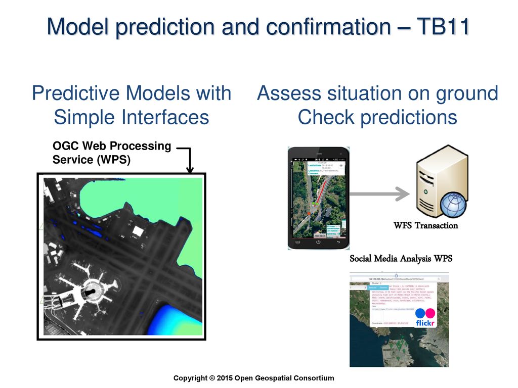 Model prediction and confirmation – TB11
