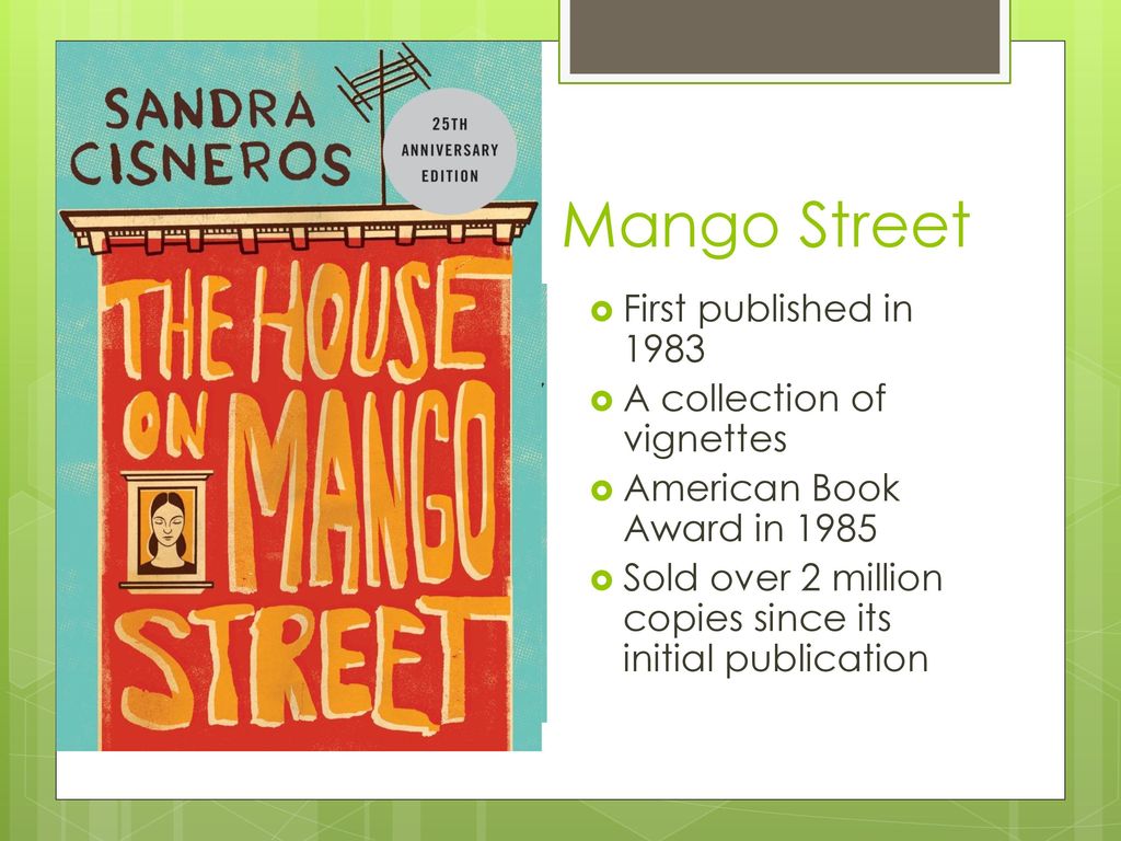the house on mango street book