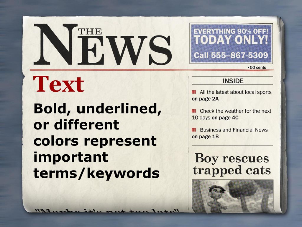 Text Bold, underlined, or different colors represent important terms/keywords