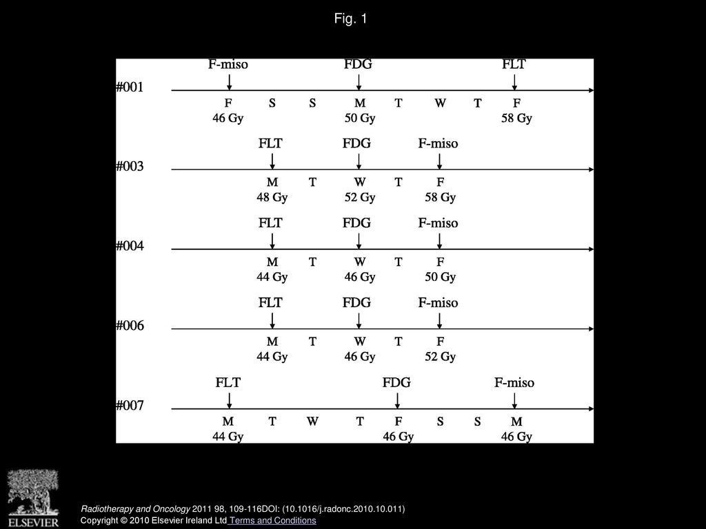 Fig. 1 Actual schedule for the five evaluable patients.