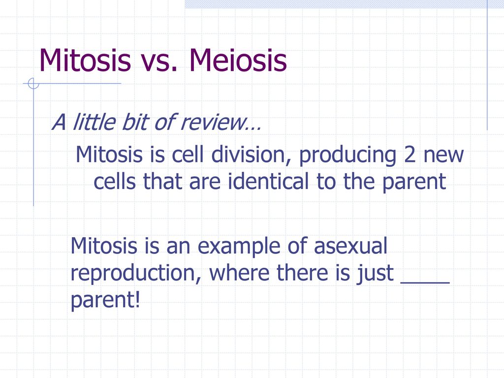 Mitosis vs. Meiosis A little bit of review…
