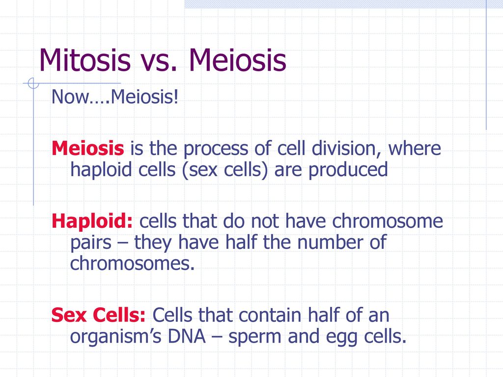 Mitosis vs. Meiosis Now….Meiosis!
