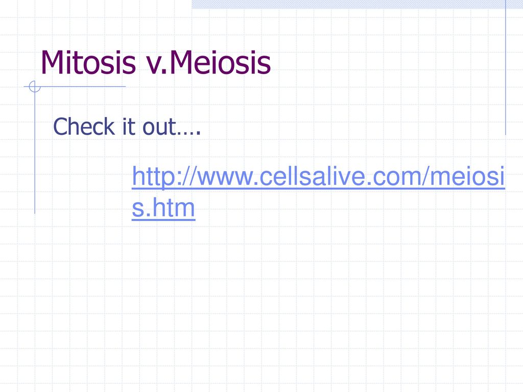 Mitosis v.Meiosis Check it out….