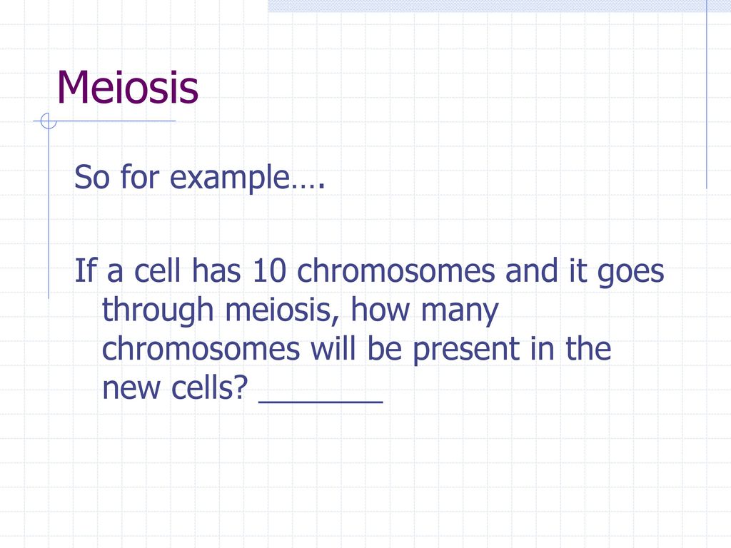 Meiosis So for example….
