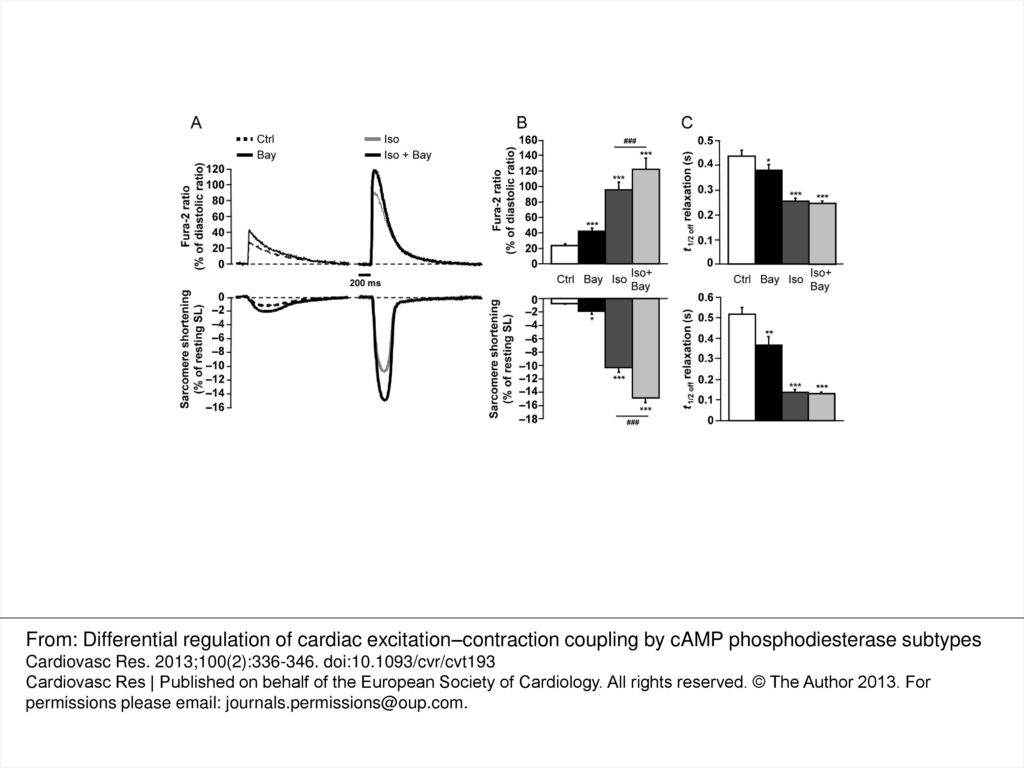 Figure 1 Effect of PDE2 inhibition on ECC in ARVMs