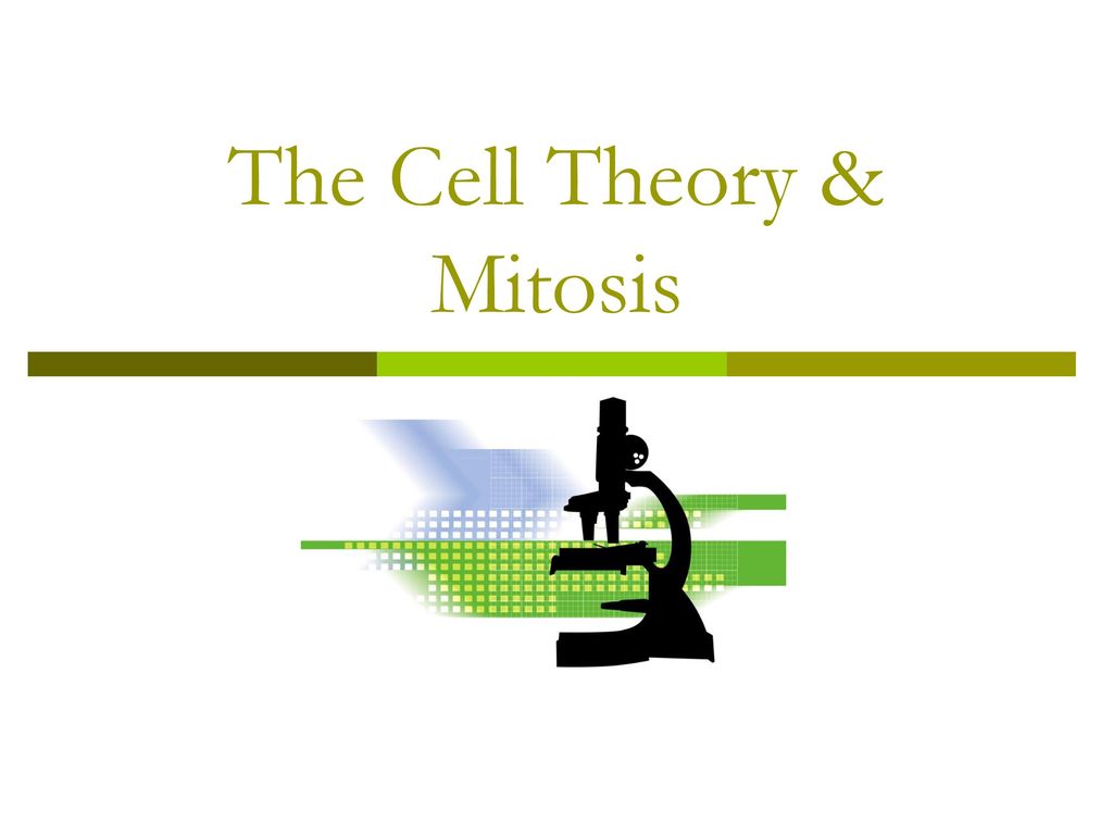 The Cell Theory & Mitosis