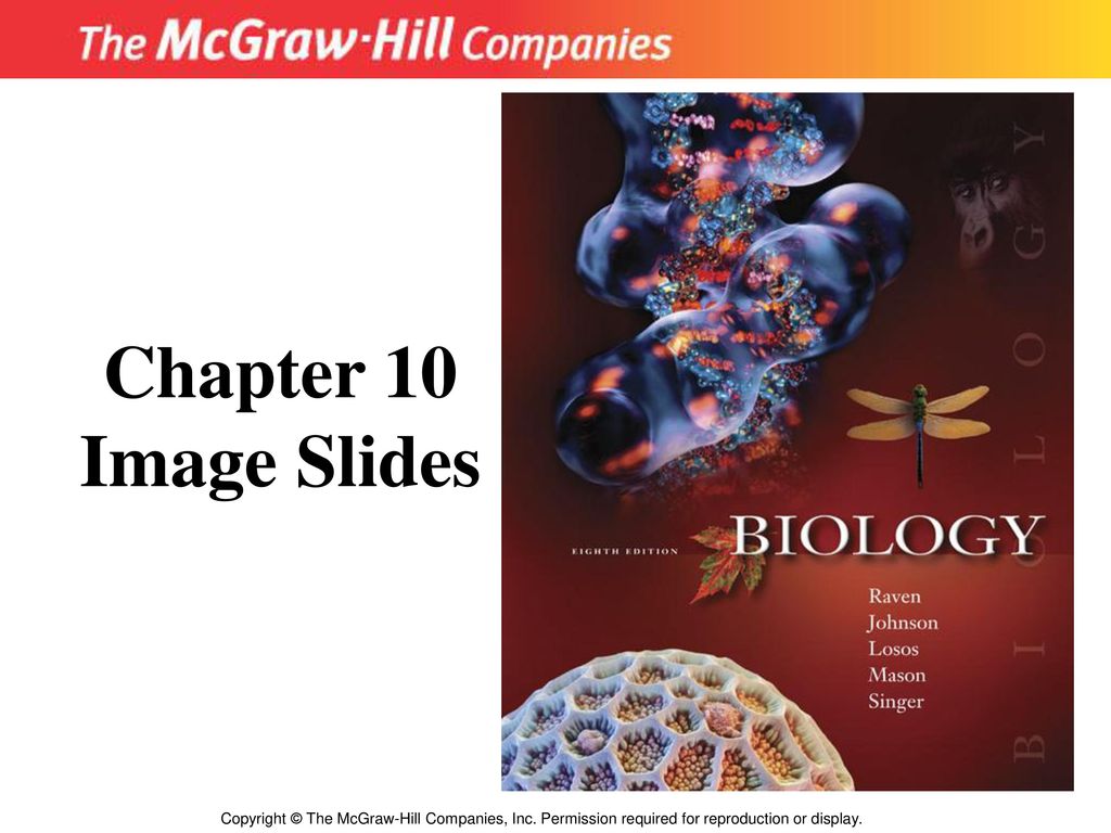 Chapter 10 Image Slides Title